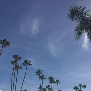 Meet your Posher, Monet